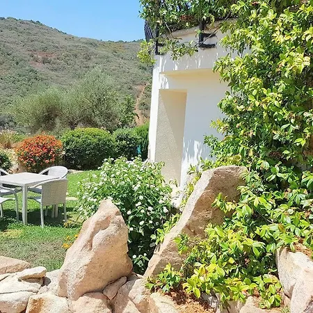 Solaria - Luddui Budoni