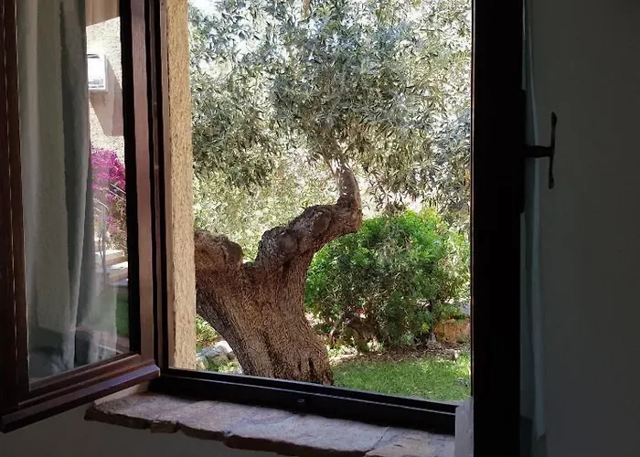 Solaria - Luddui Lejlighed Budoni